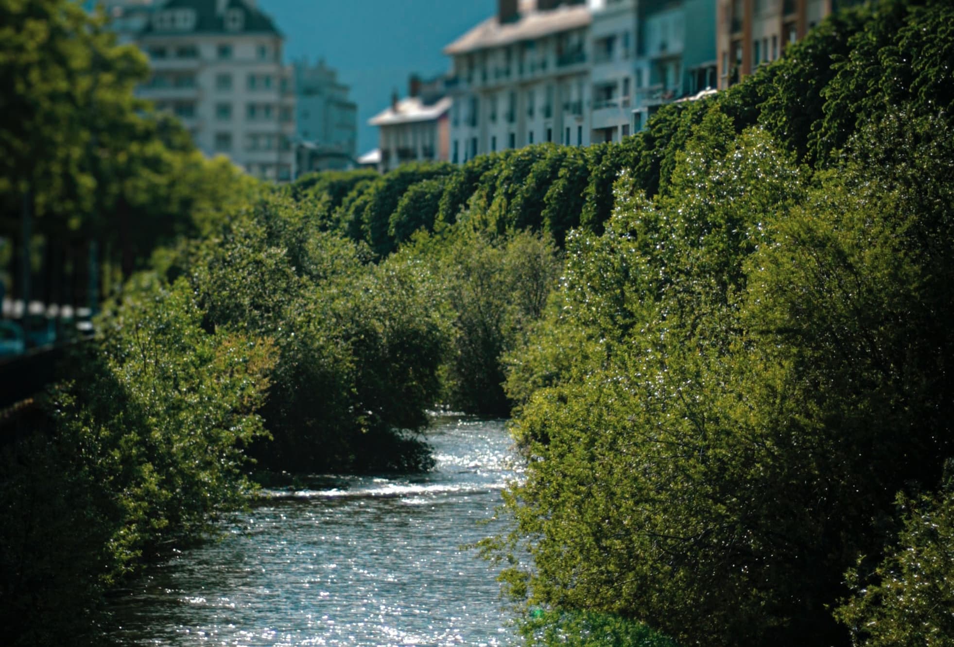 Mercure Découvertes Locales
