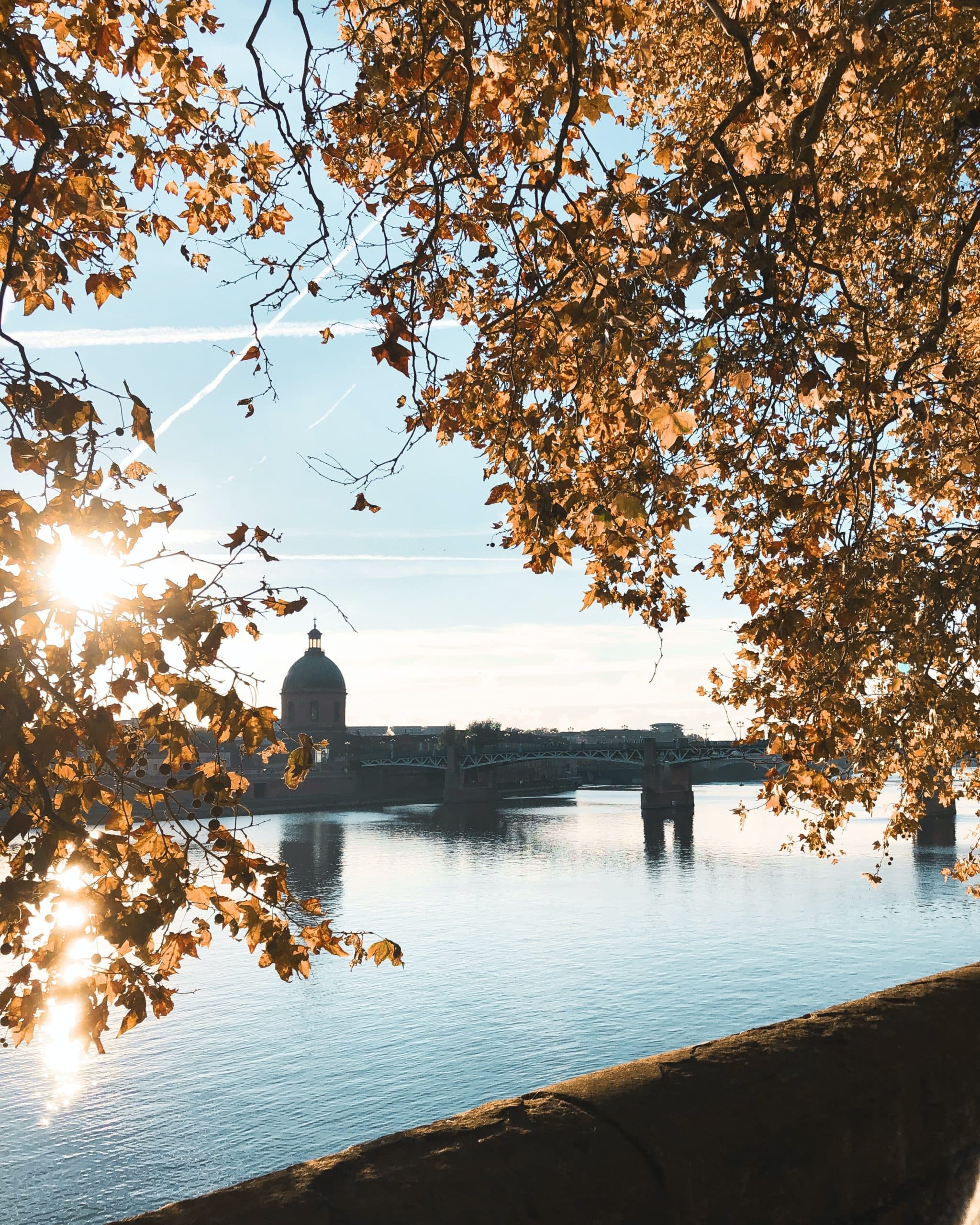 Hotel Mercure, ACCOR, Toulouse Centre Wilson Capitole